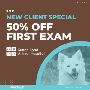 Providing the highest quality, compassionate veterinary care in Streamwood, IL Providing the highest quality, compassionate veterinary care in Streamwood, IL